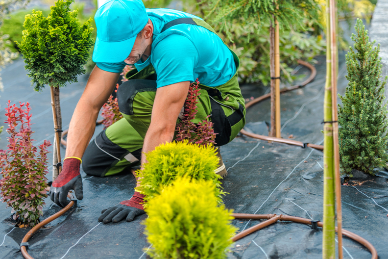 responsable des espaces verts - Corsica Orientazione